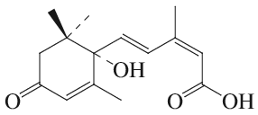 Substance Image
